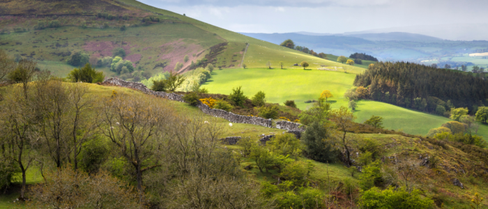 Clwydian-Range_Plassey