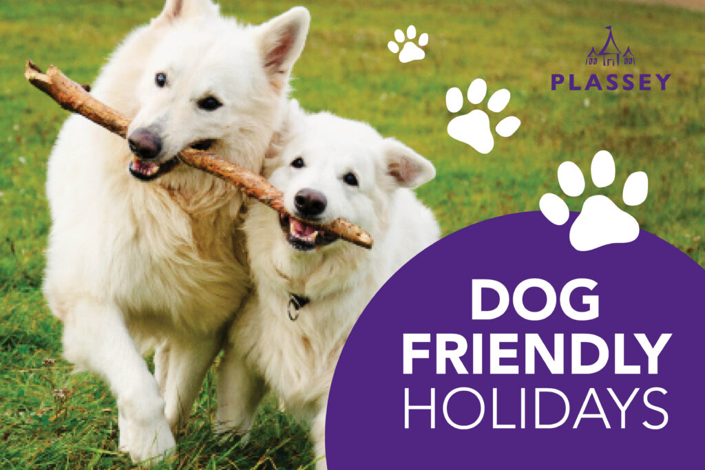 Plassey_Dog Friendly Holidays
