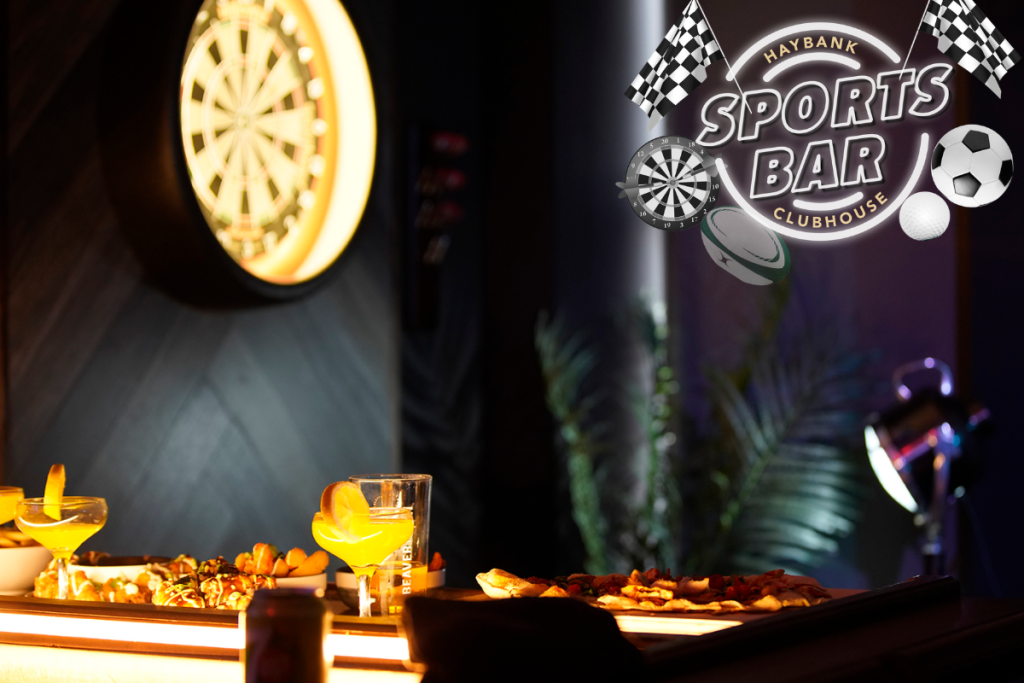 HC SB Interactive Darts Board_Plassey